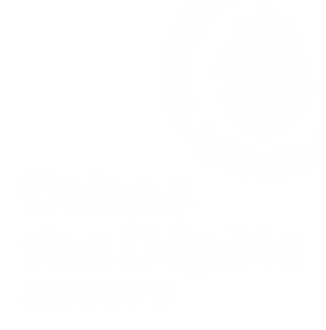 CAISSE DES DEPOTS
