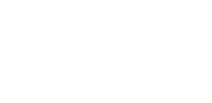 ANNE BOIVENT