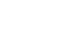 PKF ARSILON