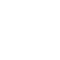 VYV 3
