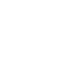 SUP DE VINCI